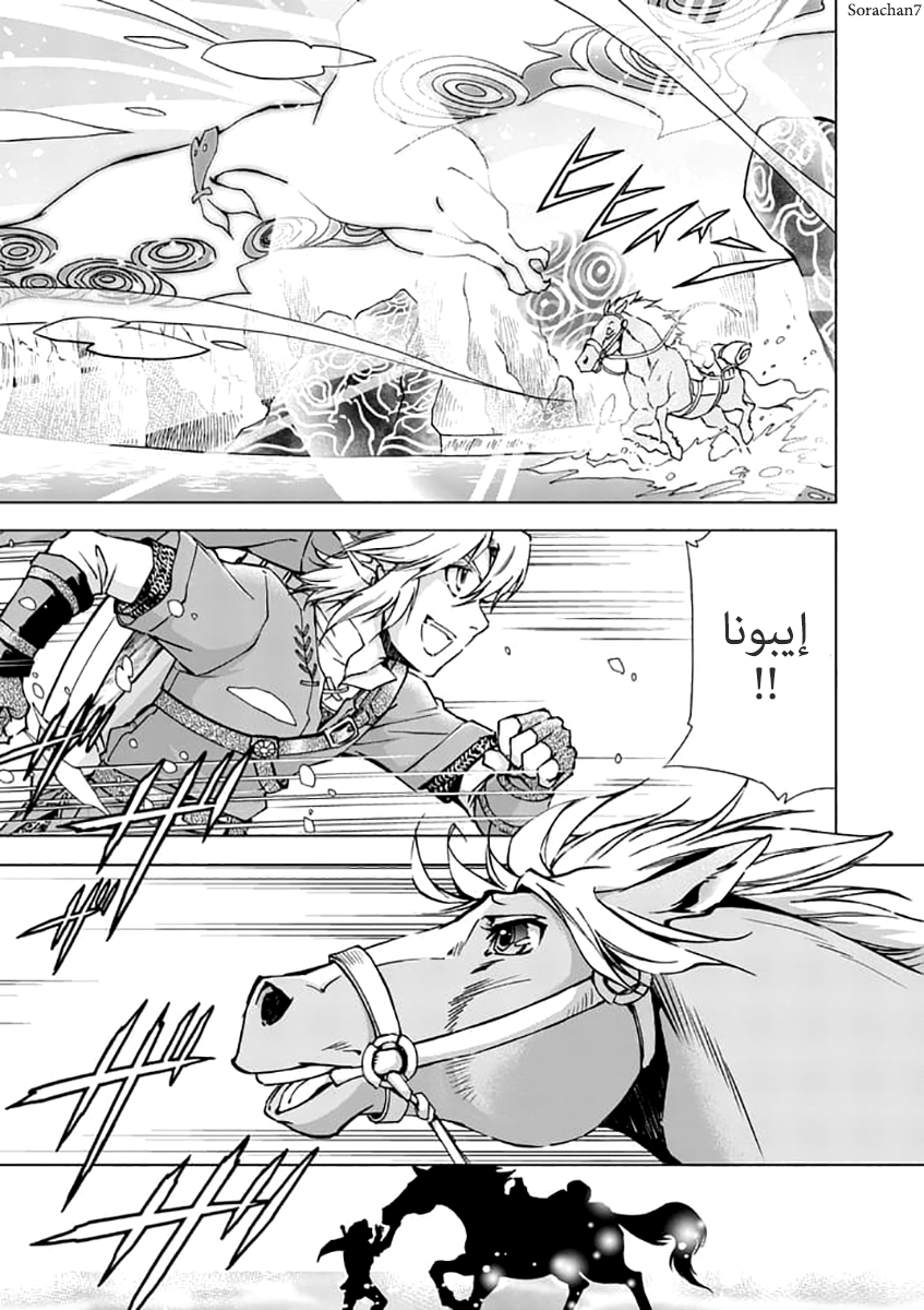 Zelda no Densetsu: Twilight Princess: Chapter 24 - Page 8