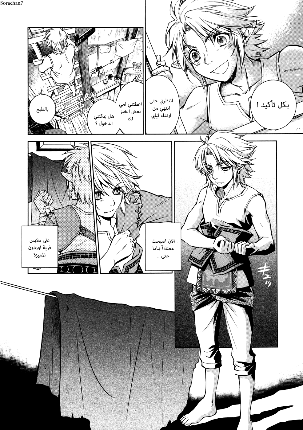 Zelda no Densetsu: Twilight Princess: Chapter 3 - Page 6