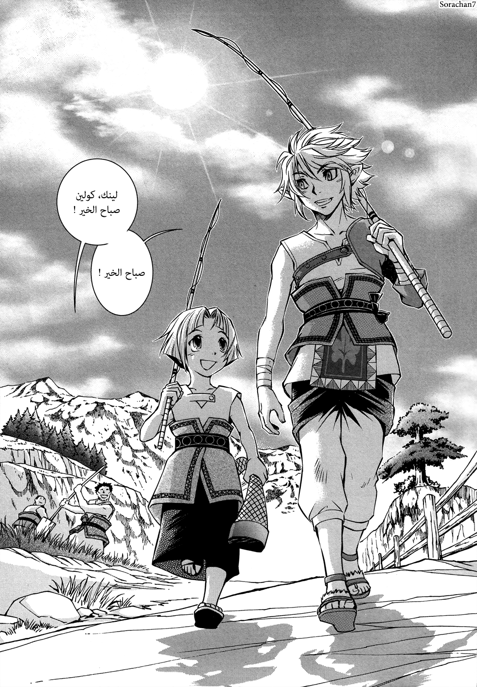 Zelda no Densetsu: Twilight Princess: Chapter 3 - Page 11