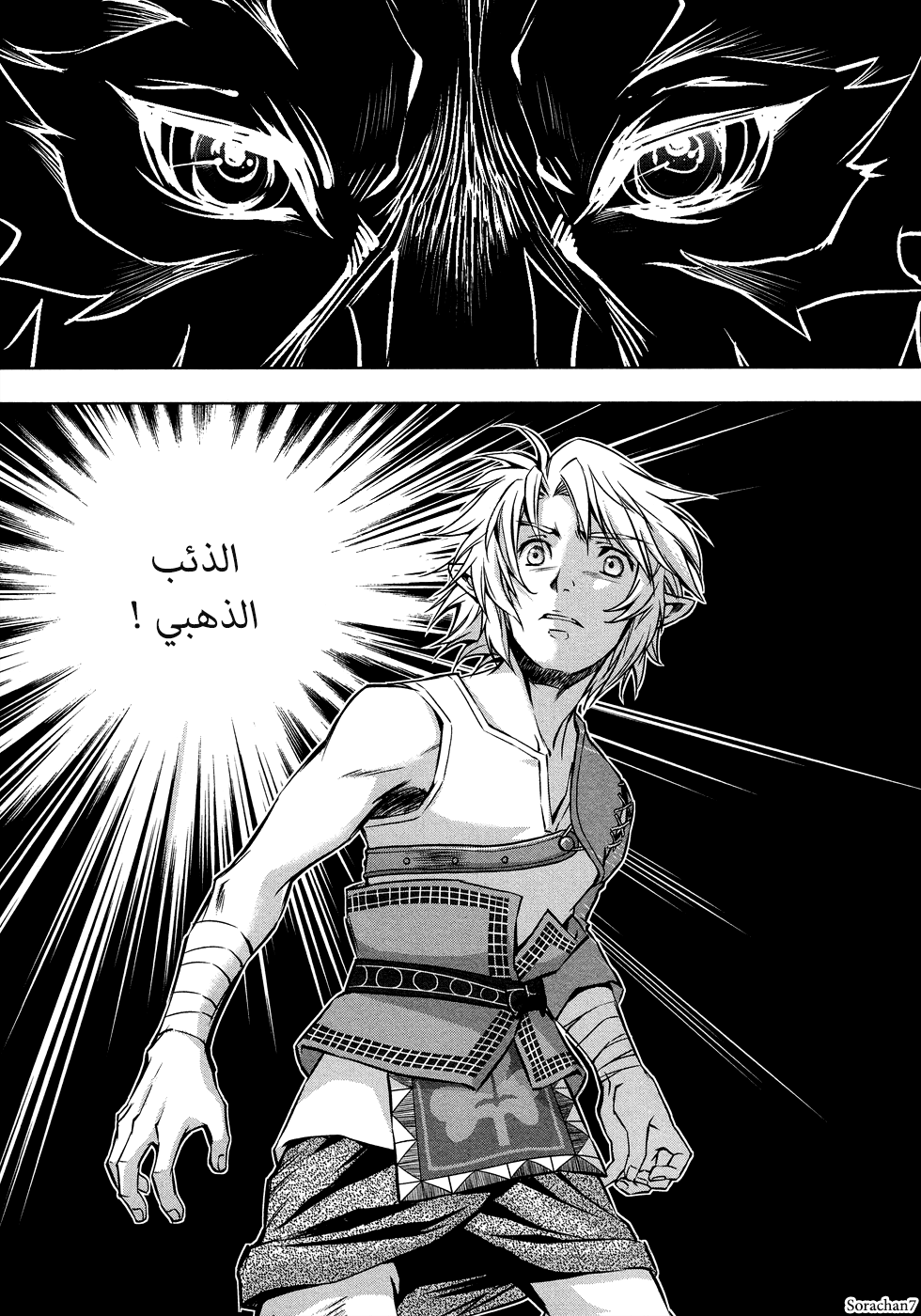 Zelda no Densetsu: Twilight Princess: Chapter 5 - Page 16