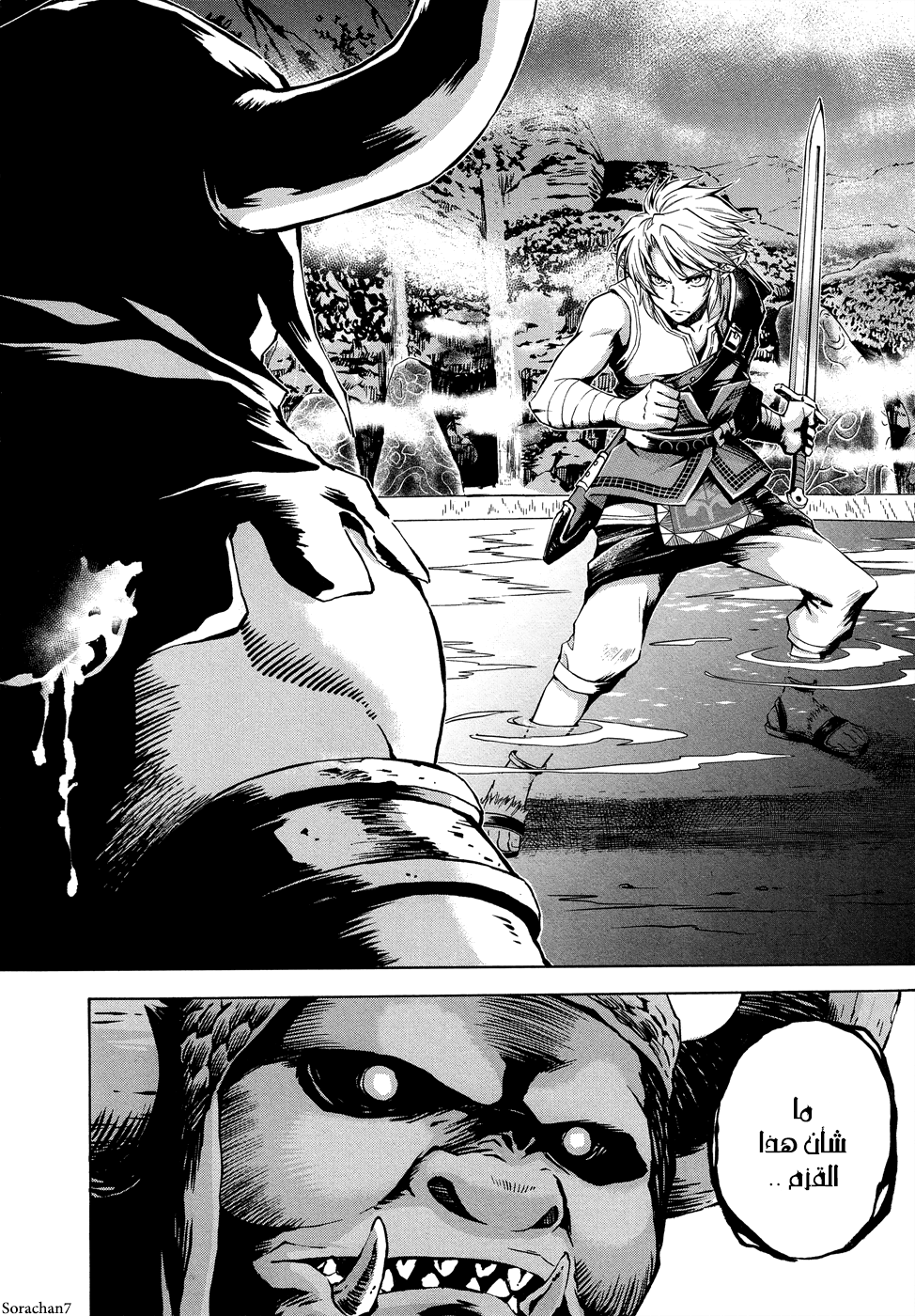 Zelda no Densetsu: Twilight Princess: Chapter 7 - Page 19