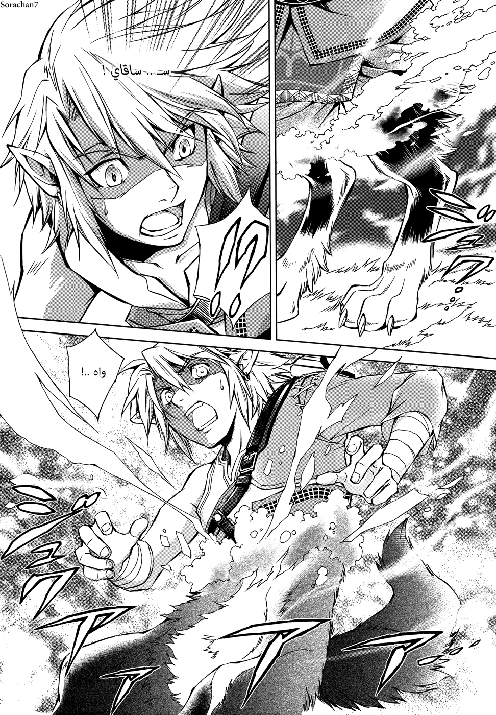 Zelda no Densetsu: Twilight Princess: Chapter 8 - Page 14