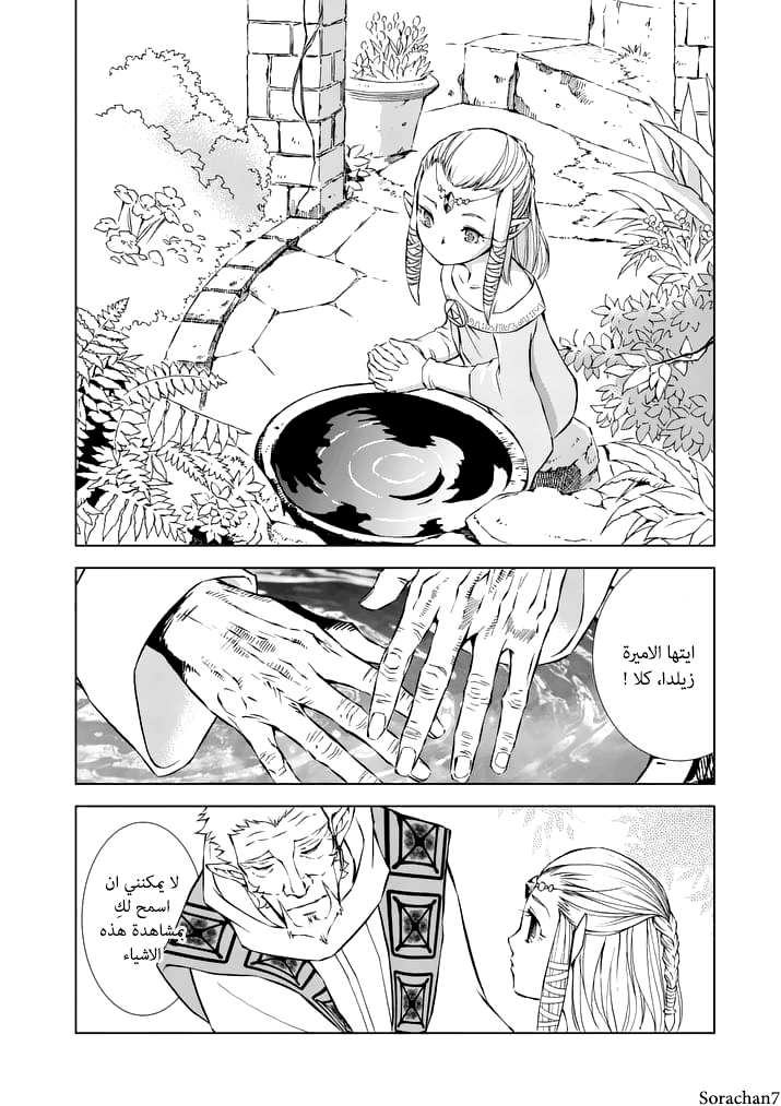 Zelda no Densetsu: Twilight Princess: Chapter 9 - Page 8
