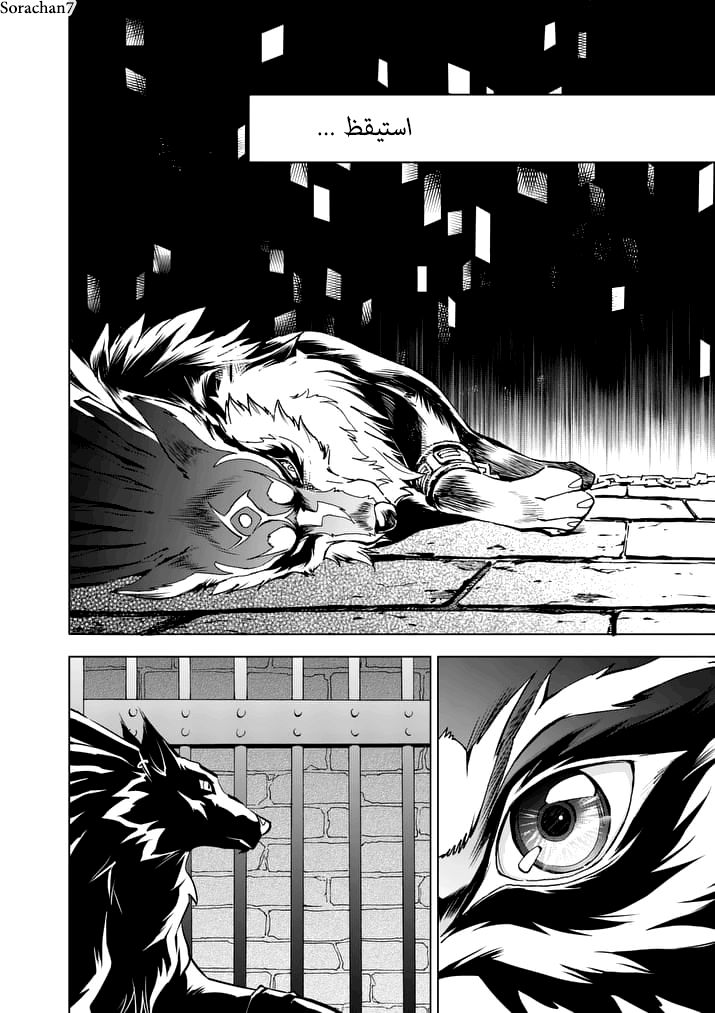 Zelda no Densetsu: Twilight Princess: Chapter 9 - Page 16